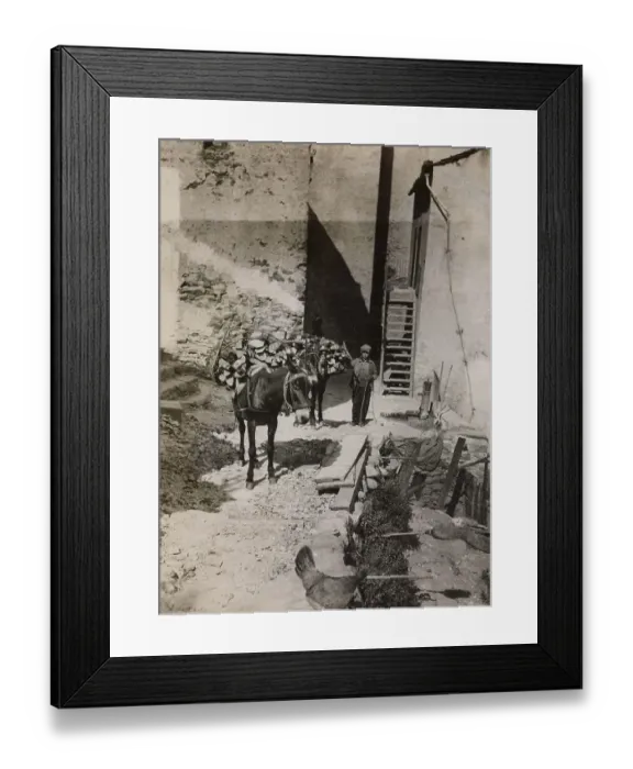 Framed Print : Mules and donkeys still play the most important part in the local transportation of logs and other goods in the narrow streets of the villages in Corsica, France. Date: 1930s Framed Print : Mules and donkeys still play the most important part in the local transportation of logs and other goods in the narrow streets of the villages in Corsica, France. Date: 1930s