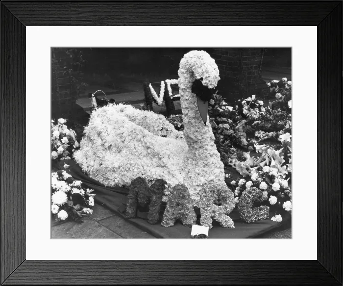 Framed Print : MARC BOLAN'S FUNERAL Framed Print : MARC BOLAN'S FUNERAL