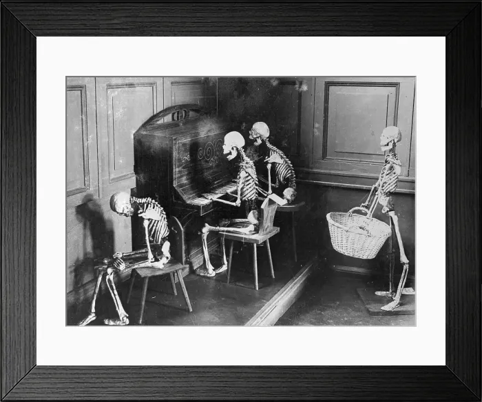 Framed Print : SCHOOL FOR SKELETONS Framed Print : SCHOOL FOR SKELETONS
