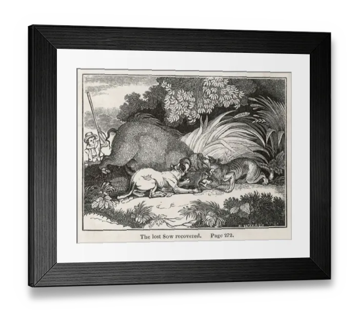 Framed Print : SWISS FAMILY ROBINSON Framed Print : SWISS FAMILY ROBINSON