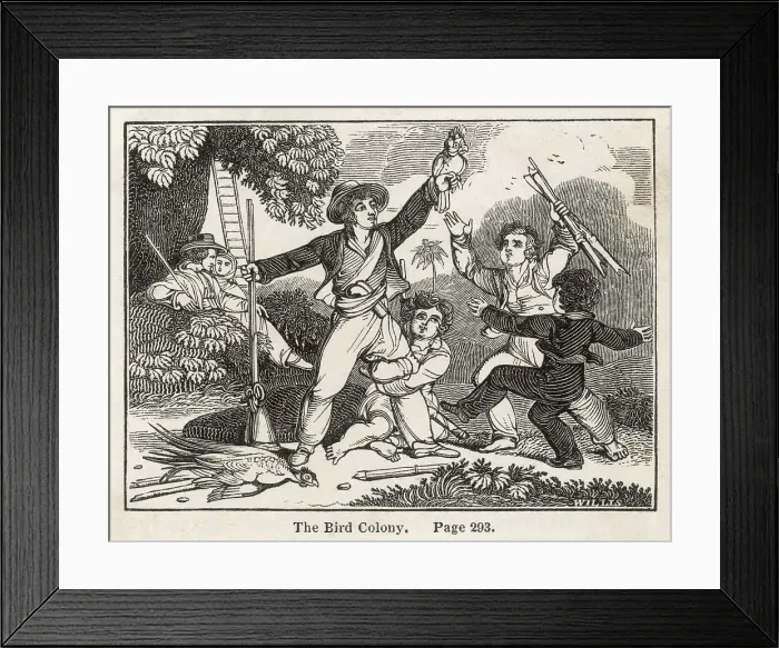 Framed Print : SWISS FAMILY ROBINSON Framed Print : SWISS FAMILY ROBINSON