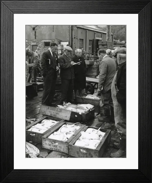 Framed Print : Auctioneering fish at a quayside market, an early morning scene at Oban, Argyllshire, Scotland. Date: 1950s Framed Print : Auctioneering fish at a quayside market, an early morning scene at Oban, Argyllshire, Scotland. Date: 1950s