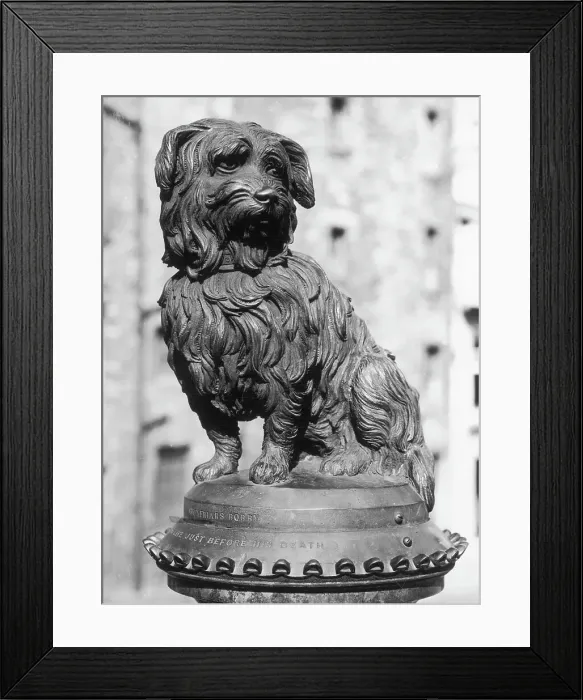 Framed Print : GREYFRIARS BOBBY Framed Print : GREYFRIARS BOBBY