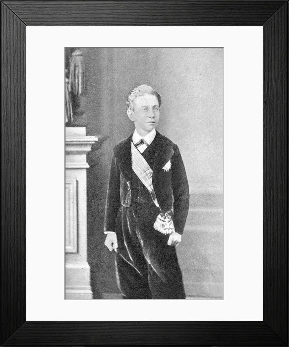 Framed Print : LOUIS NAPOLEON Framed Print : LOUIS NAPOLEON