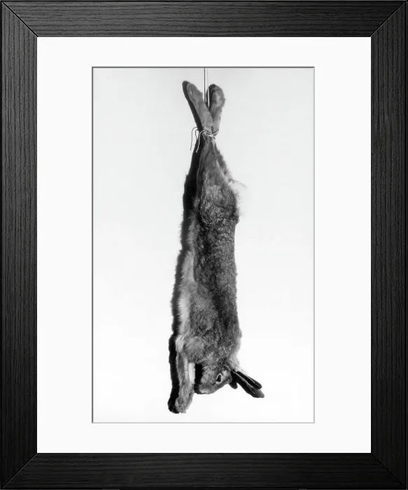 Framed Print : HARE STRUNG UP Framed Print : HARE STRUNG UP