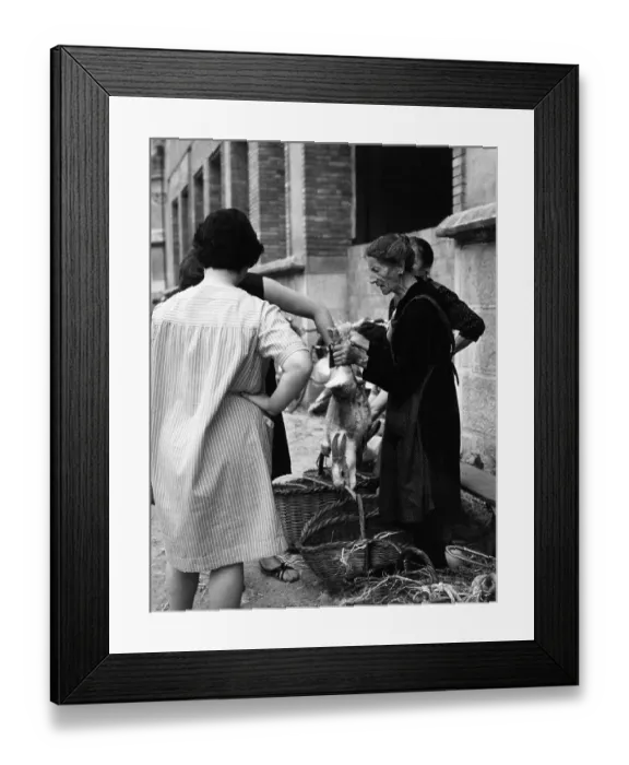 Framed Print : Buying Rabbit Trade Markets Spain 1950s Old Women Framed Print : Buying Rabbit Trade Markets Spain 1950s Old Women