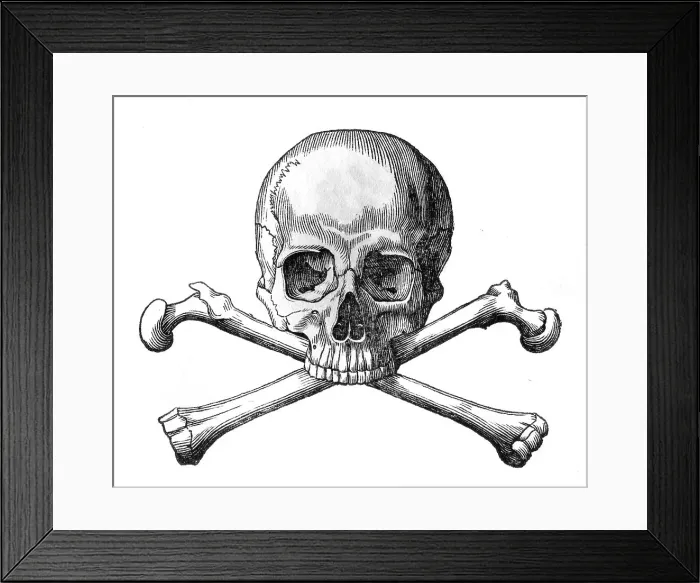 Framed Print : SKULL AND CROSSBONES Framed Print : SKULL AND CROSSBONES
