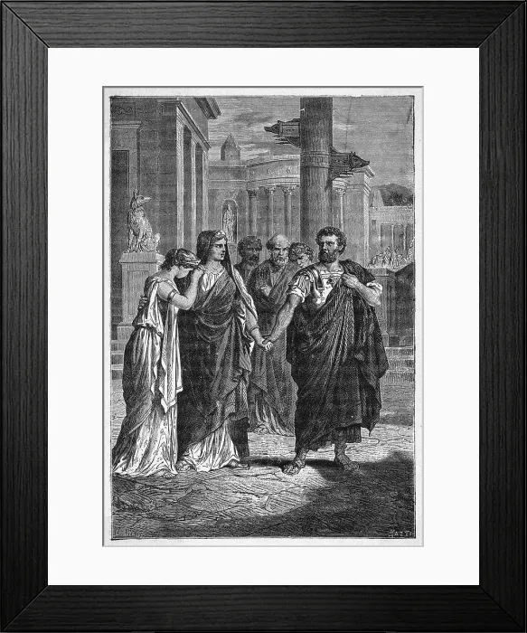 Framed Print : REGULUS RETURNS Framed Print : REGULUS RETURNS