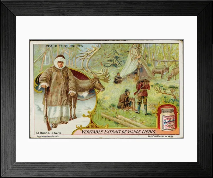 Framed Print : REINDEER HIDE Framed Print : REINDEER HIDE