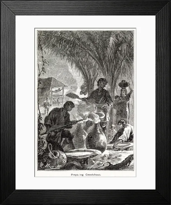 Framed Print : Preparing Caoutchouc, a natural rubber produced in Amazon region. From the beginning of the second half of the 19th century, rubber was desirable commodity, valued at a high price, and thought to create wealth and dividends. Date: 1881 Framed Print : Preparing Caoutchouc, a natural rubber produced in Amazon region. From the beginning of the second half of the 19th century, rubber was desirable commodity, valued at a high price, and thought to create wealth and dividends. Date: 1881