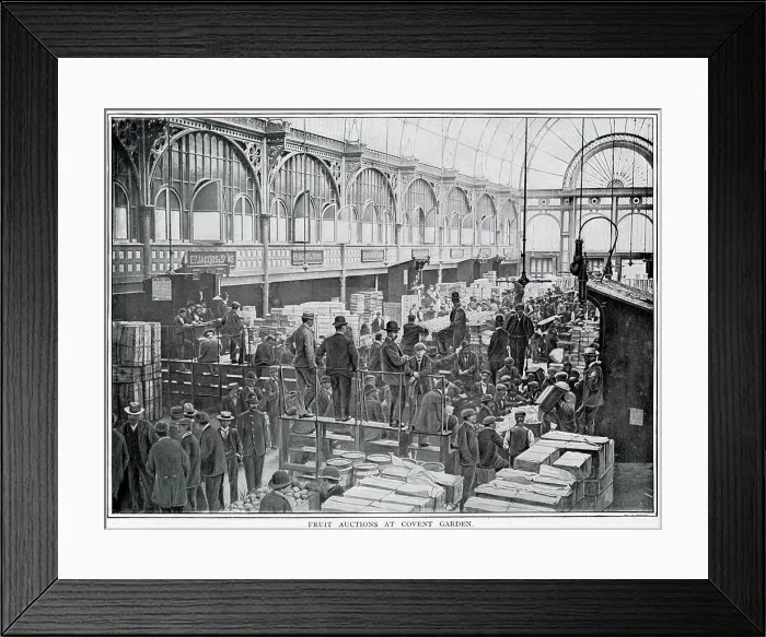 Framed Print : Fruit auctions at Covent Garden 1900 Framed Print : Fruit auctions at Covent Garden 1900