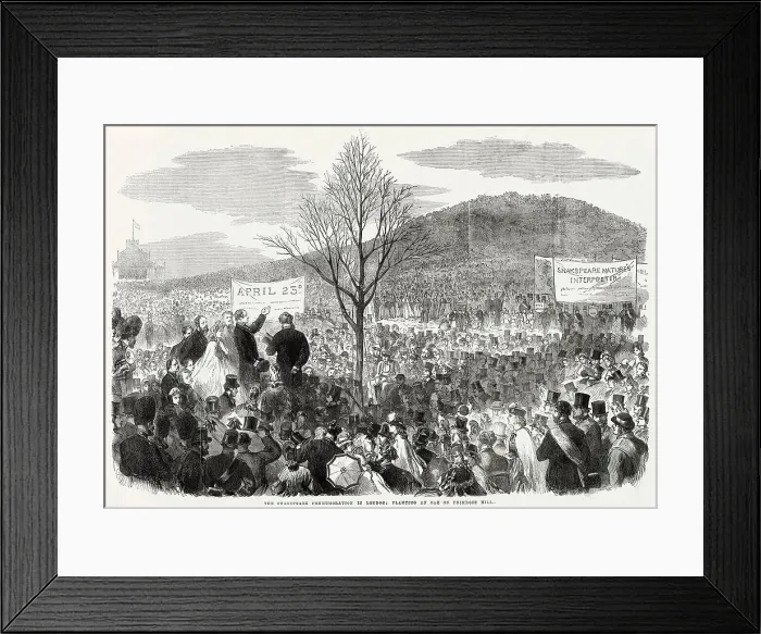 Framed Print : Samuel Phelps planting the young oak tree at the foot of Primrose Hill, London, to honour the English poet, William Shakespeare. Date: 23rd April 1864