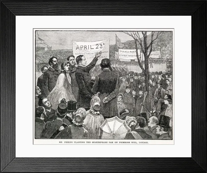 Framed Print : Shakespeare Commemoration, Planting Oak on Primrose Hill Framed Print : Shakespeare Commemoration, Planting Oak on Primrose Hill
