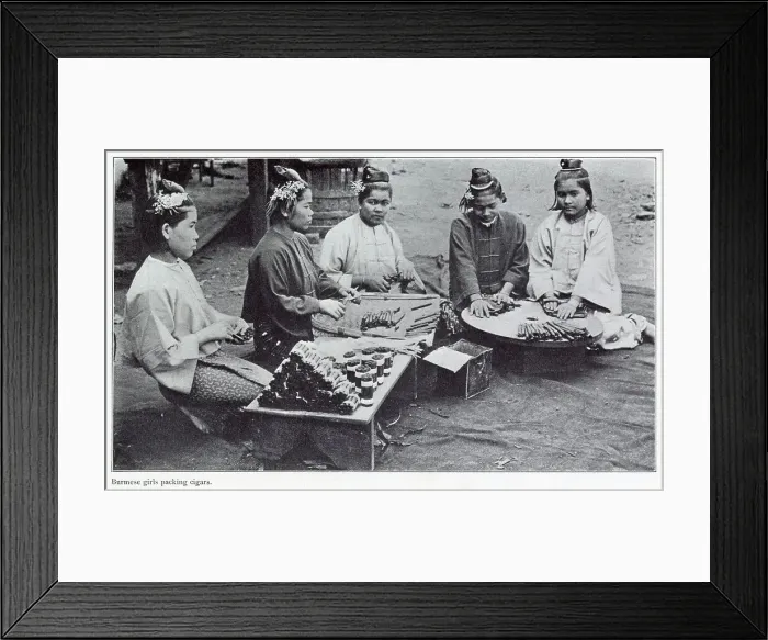 Framed Print : Burmese women rolling leaf tobacco into cigars. Date: 1908 Framed Print : Burmese women rolling leaf tobacco into cigars. Date: 1908