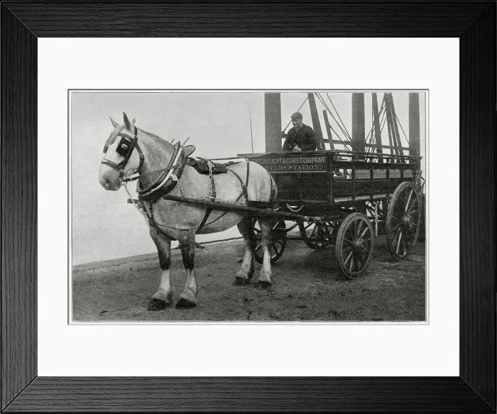 Framed Print : Gas Light & Coke Company in Nine Elms on the south bank of the River Thames, photograph showing their shire horse and carriage. Date: 1897 Framed Print : Gas Light & Coke Company in Nine Elms on the south bank of the River Thames, photograph showing their shire horse and carriage. Date: 1897