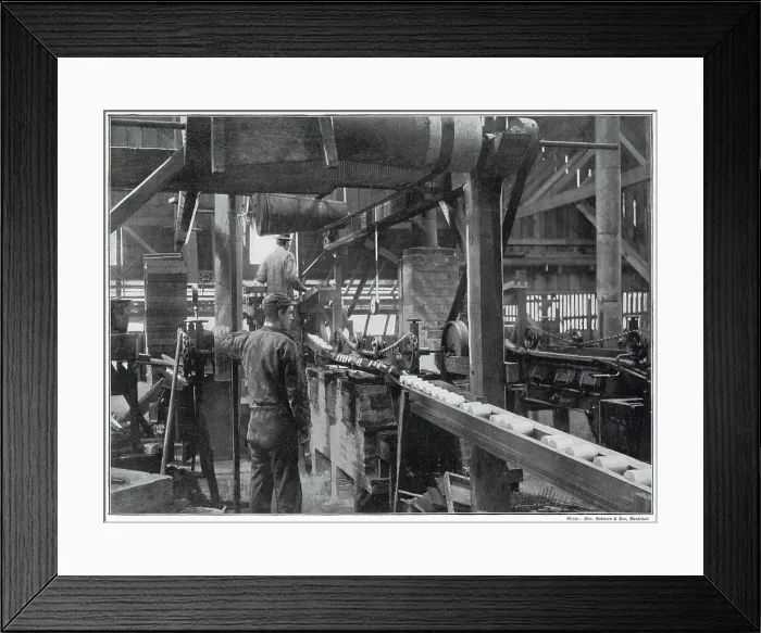 Framed Print : Salmon in Canada - Canning Framed Print : Salmon in Canada - Canning