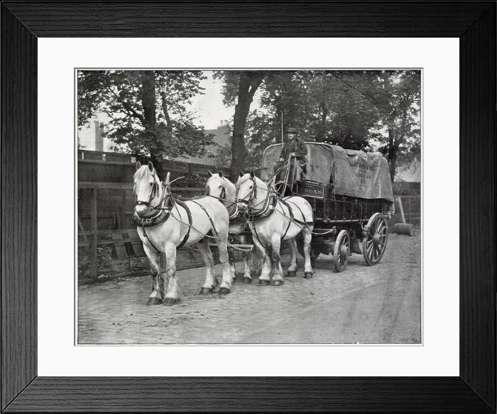 Framed Print : Berger and Sons of Homerton, London, showing their transportation, horse and cart in the trading in streets of East London. Date: 1895 Framed Print : Berger and Sons of Homerton, London, showing their transportation, horse and cart in the trading in streets of East London. Date: 1895