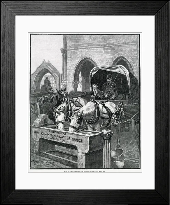 Framed Print : Metropolitan Drinking Fountain & Cattle Trough 1895 Framed Print : Metropolitan Drinking Fountain & Cattle Trough 1895