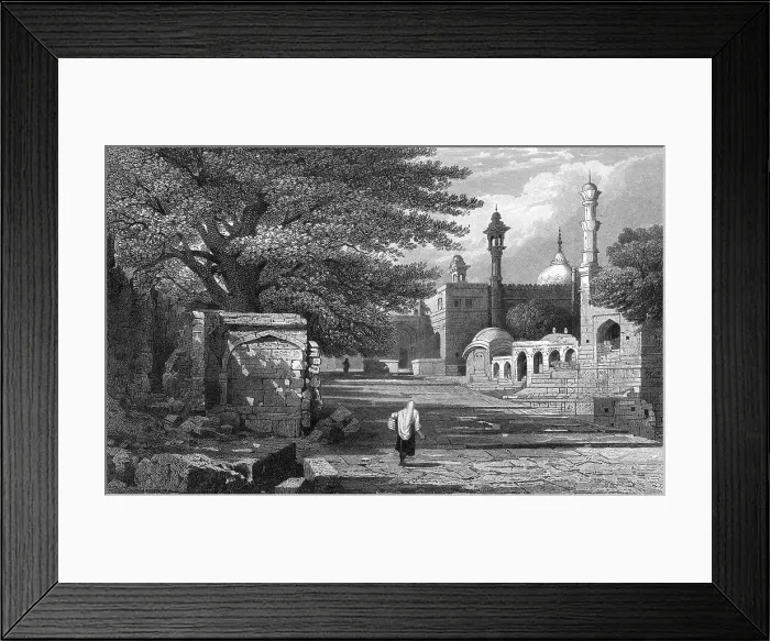 Framed Print : INDIA ROZAH Framed Print : INDIA ROZAH
