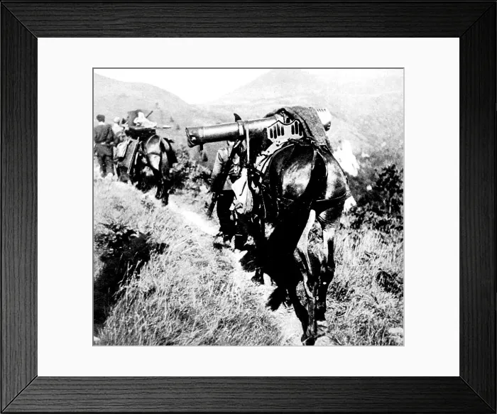 Framed Print : Machine Gun on a Mule, near San Martial; Spanish Civil War Framed Print : Machine Gun on a Mule, near San Martial; Spanish Civil War