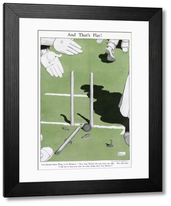 Framed Print : THE MOTHER EARTH WORMTO ITS WORMLET: Now, then, Florizel, that just serves you right. How often have I told you to keep away from the wicket during these Test Matches! Date: 1926 Framed Print : THE MOTHER EARTH WORMTO ITS WORMLET: Now, then, Florizel, that just serves you right. How often have I told you to keep away from the wicket during these Test Matches! Date: 1926