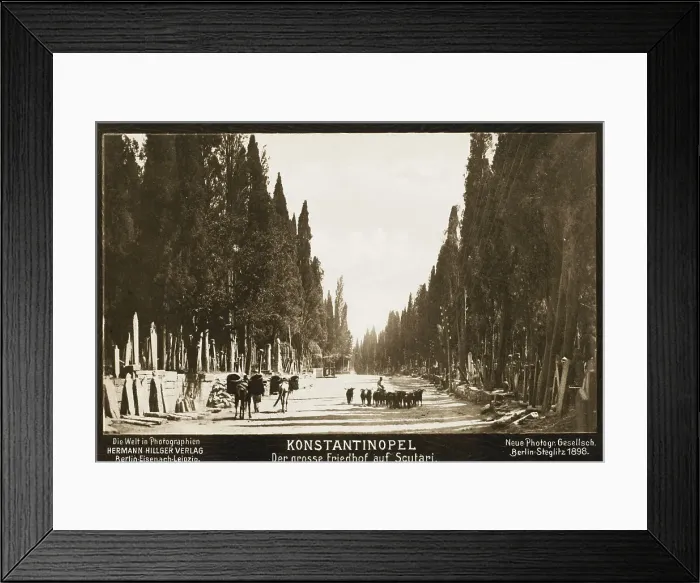 Framed Print : Cemetery at Scutari, Constantinople Framed Print : Cemetery at Scutari, Constantinople