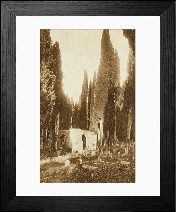Framed Print : Cemetery at Scutari - Constantinople Framed Print : Cemetery at Scutari - Constantinople