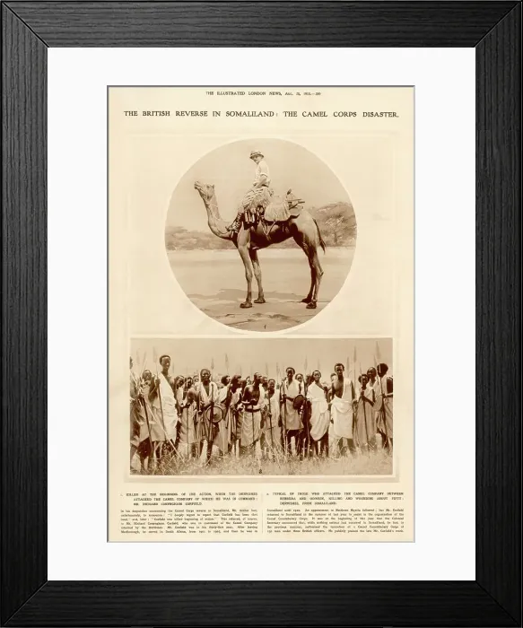 Framed Print : The British reverse in Somaliland: the camel corps disaster Framed Print : The British reverse in Somaliland: the camel corps disaster