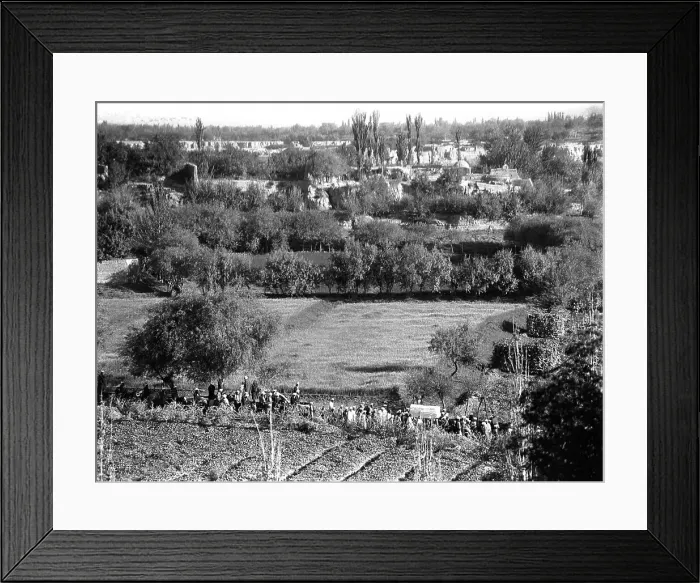 Framed Print : Funeral procession in Kashgar, western China Framed Print : Funeral procession in Kashgar, western China