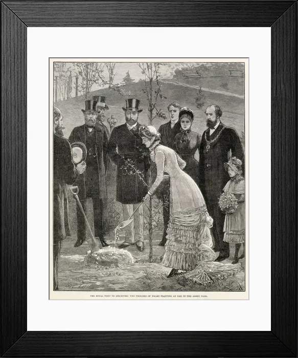 Framed Print : Royal visit to Leicester - planting oak tree in Abbey Park Framed Print : Royal visit to Leicester - planting oak tree in Abbey Park
