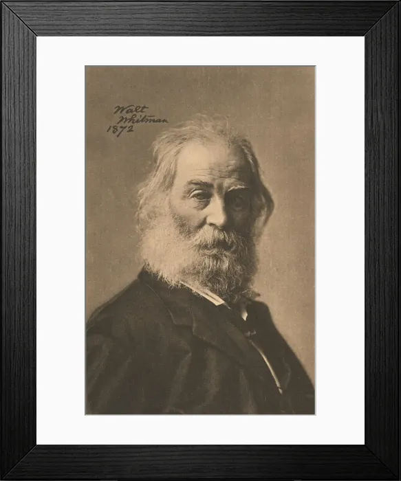 Framed Print : Walt Whitman, American poet, essayist and journalist Framed Print : Walt Whitman, American poet, essayist and journalist