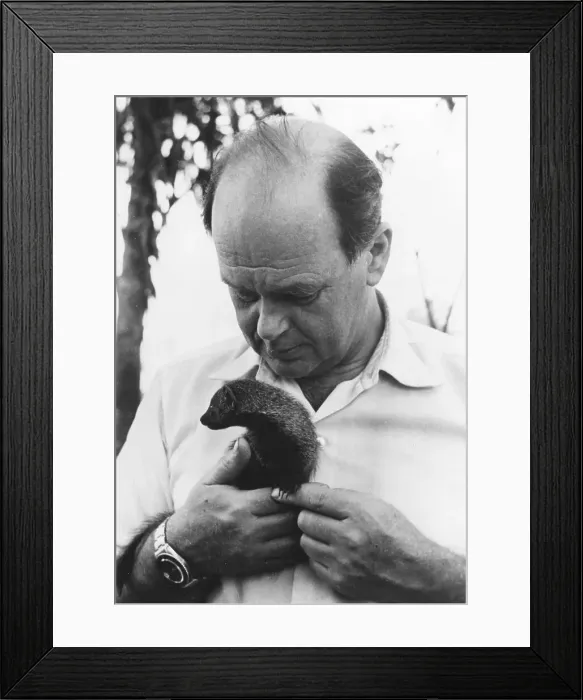 Framed Print : Scott Peter Bald Balding Sir Markham 1909 1989 Framed Print : Scott Peter Bald Balding Sir Markham 1909 1989