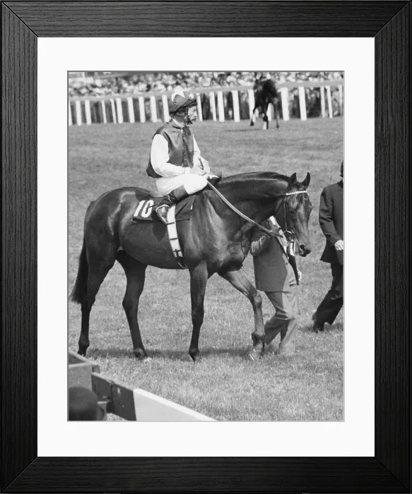 Framed Print : Lester Piggott, legendary British jockey Framed Print : Lester Piggott, legendary British jockey