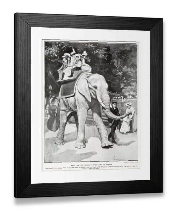 Framed Print : Jingo the Zoo Elephant Goes to America 1903 Framed Print : Jingo the Zoo Elephant Goes to America 1903
