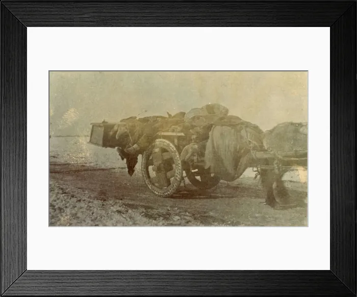 Framed Print : Bubonic plague in China Framed Print : Bubonic plague in China