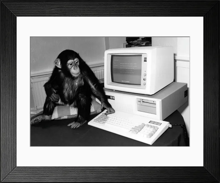 Framed Print : Chimp with computer Framed Print : Chimp with computer