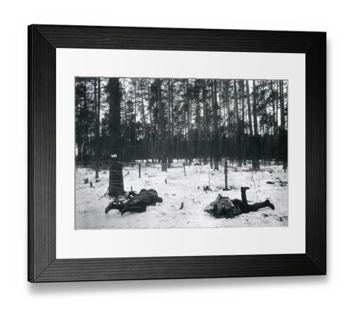 Framed Print : Dead Russian soldiers at Augustowo, WW1 Framed Print : Dead Russian soldiers at Augustowo, WW1