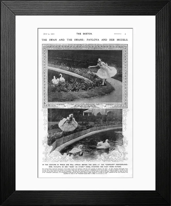 Framed Print : Command Death Swan Dance Dancing Dances Dancer Framed Print : Command Death Swan Dance Dancing Dances Dancer