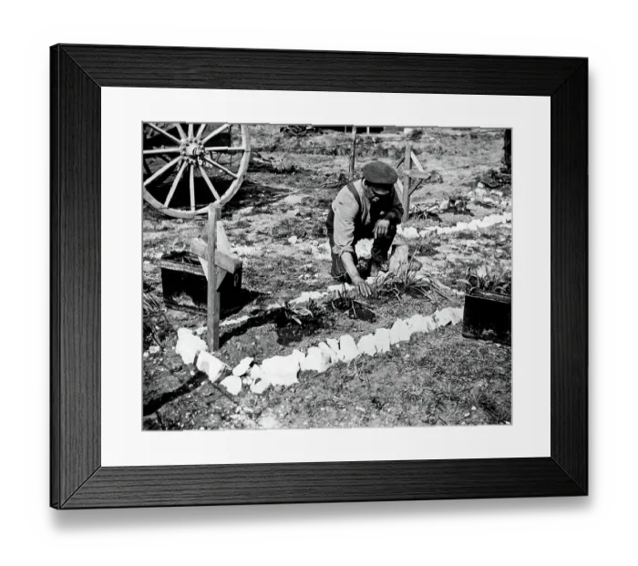 Framed Print : British soldier tending grave of fallen colleague, WW1 Framed Print : British soldier tending grave of fallen colleague, WW1