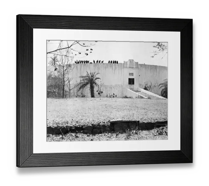 Framed Print : Tower of Silence, Bombay (Mumbai), India Framed Print : Tower of Silence, Bombay (Mumbai), India