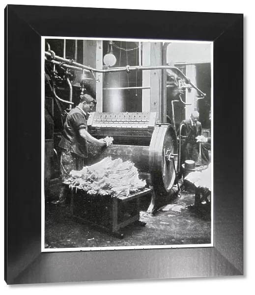 Manufacture of Ostrich Feathers - Washing 1907