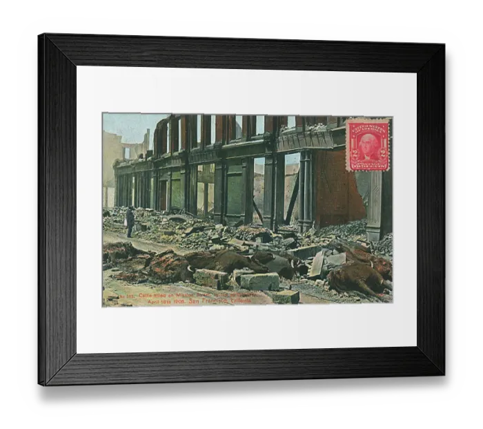 Framed Print : Dead cattle, Mission Street, San Francisco, California, USA Framed Print : Dead cattle, Mission Street, San Francisco, California, USA