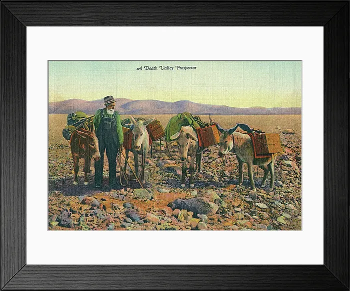 Framed Print : Prospector in Death Valley, California, USA