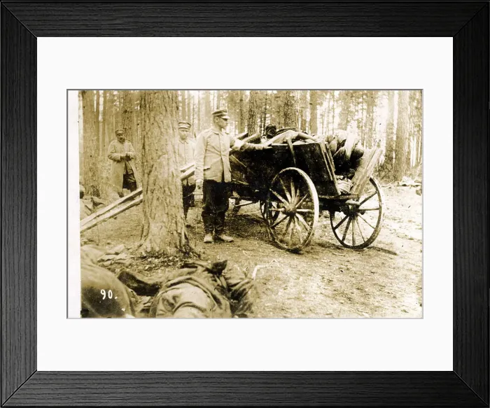 Framed Print : Dead Russian Soldiers in a Cart Framed Print : Dead Russian Soldiers in a Cart
