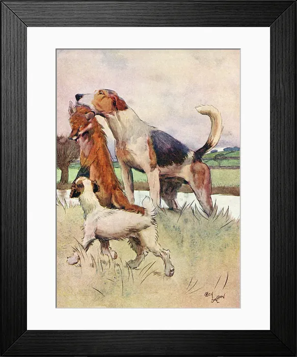 Framed Print : Cecil Aldin Book Books Illustration Fox Foxes Framed Print : Cecil Aldin Book Books Illustration Fox Foxes