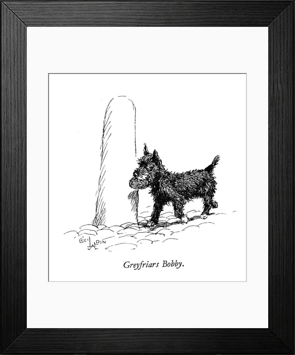 Framed Print : Illustration of Greyfriars Bobby by Cecil Aldin Framed Print : Illustration of Greyfriars Bobby by Cecil Aldin