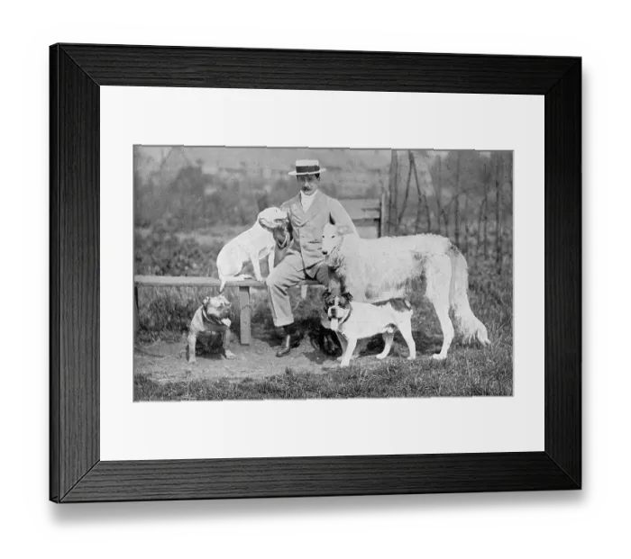 Framed Print : Cecil Aldin with four dogs in Bedford Park, West London
