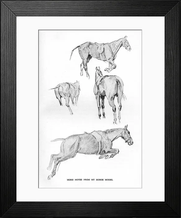 Framed Print : Sketches by Cecil Aldin, Time I Was Dead Framed Print : Sketches by Cecil Aldin, Time I Was Dead