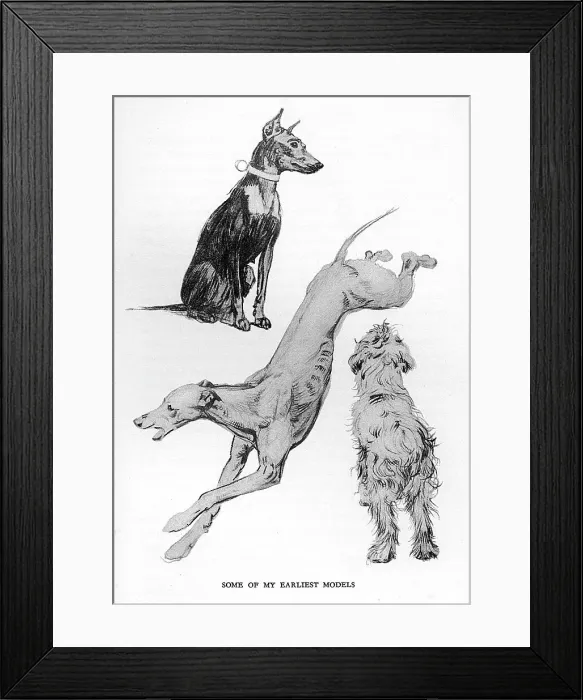 Framed Print : Sketches by Cecil Aldin, Time I Was Dead Framed Print : Sketches by Cecil Aldin, Time I Was Dead