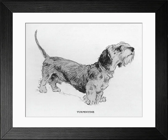Framed Print : Illustration by Cecil Aldin, Time I Was Dead Framed Print : Illustration by Cecil Aldin, Time I Was Dead